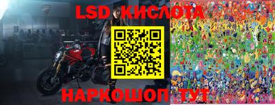 ГАЛЛЮЦИНОГЕННЫЕ ГРИБЫ Камышлов