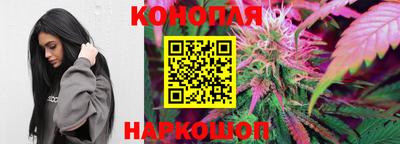 ГАЛЛЮЦИНОГЕННЫЕ ГРИБЫ Камышлов