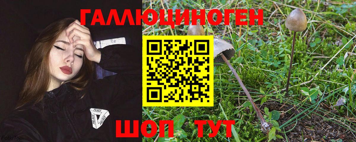 Галлюциногенные грибы GOLDEN TEACHER  Галлюциногенные грибы прущие грибы  Вход с VPN  Ликино-Дулёво 