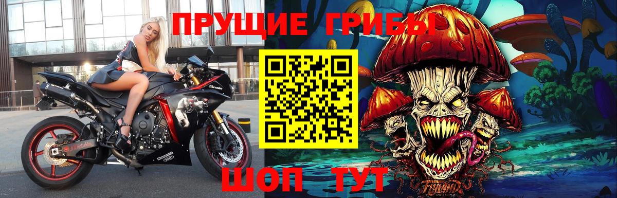 Галлюциногенные грибы прущие грибы Ликино-Дулёво